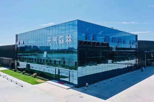 林氏木業(yè) 元?dú)馍?其實(shí)都是一類公司